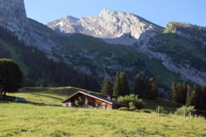 Le vieux madrier La Clusaz